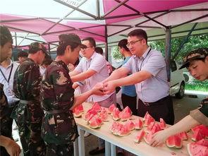 娱乐群吃瓜群众,吃瓜群众的热议焦点大盘点