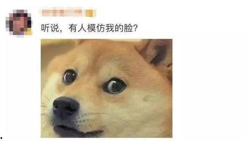 微信吃瓜表情为什么突然没有了,原因揭秘