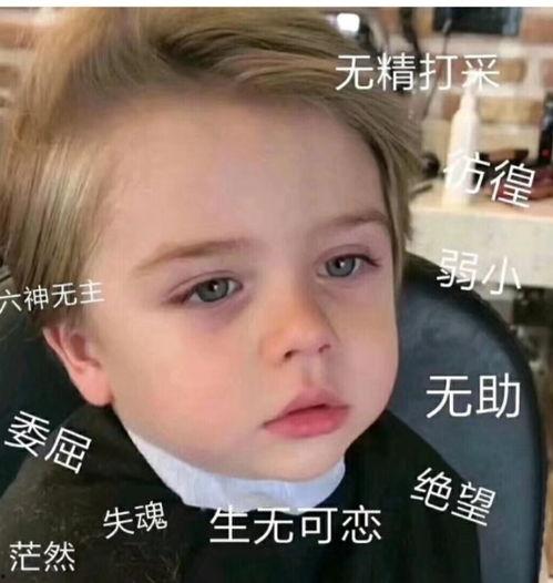 微信表情包吃瓜啥意思啊,揭秘微信表情包“吃瓜”背后的趣味与内涵