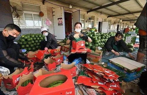 吃瓜群众图片真人版,真人版“吃瓜群众”图鉴