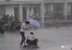 娱乐吃瓜酱爷爷撑伞,娱乐界温馨一幕